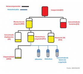 Hemocomponentes e Transfusão Sanguínea