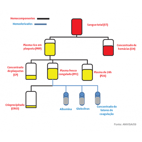 Hemocomponentes e Transfusão Sanguínea