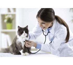 Linha de teste rápido para Diagnóstico Veterinário