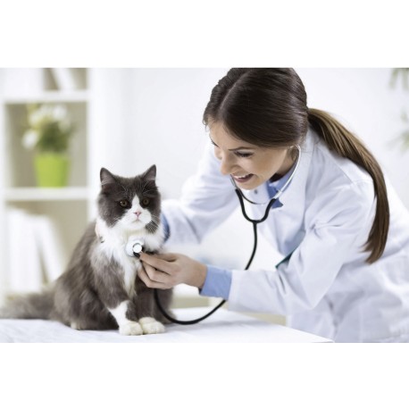 Linha de teste rápido para Diagnóstico Veterinário