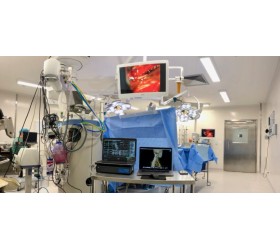 SERVIÇO DE NEUROMONITORIZAÇÃO INTRAOPERATÓRIA COM NEUROFISIOLOGISTA