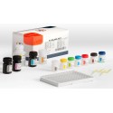 T3 Total Elisa 