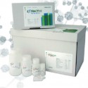 Kit ExtractME Genomic DNA Kit ExtractME Genomic DNA