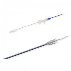 LINHA DE STENTS