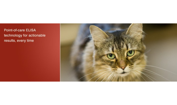 Linha Point of Care Veterinário 