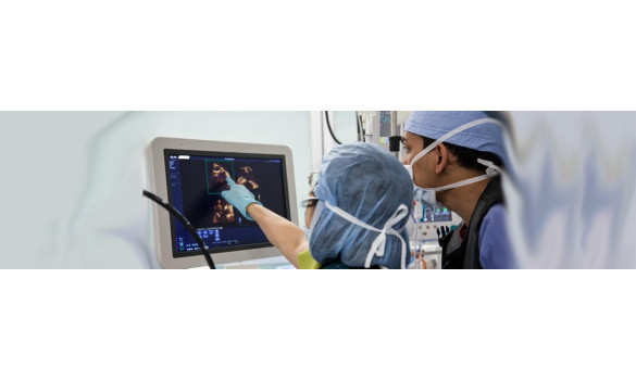 Linha Endovascular